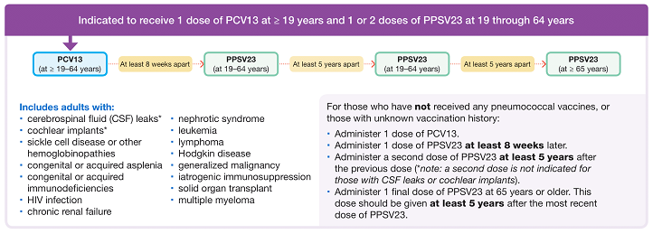 Adult Pneumonia Vaccination 19-64 years