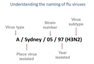Naming of Influenza virus