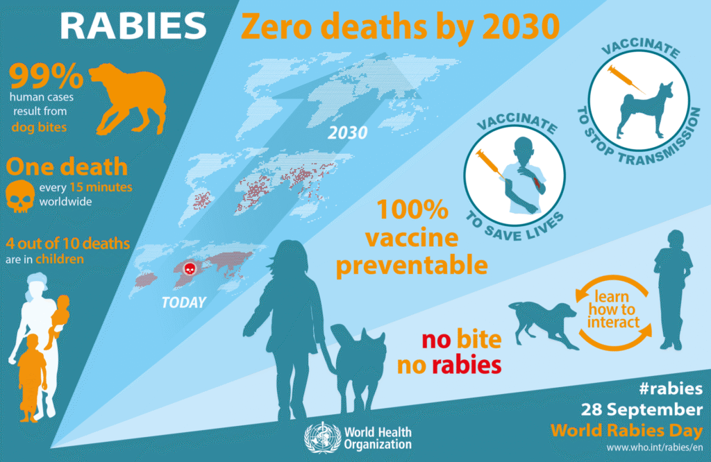 Pre-exposure Anti-Rabies Vaccination in Vadodara | 8347990180