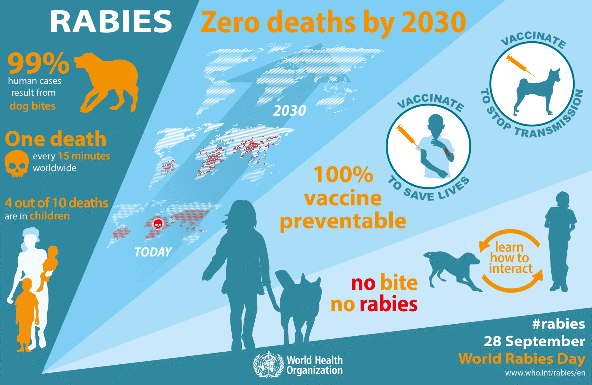 pre-exposure anti-rabies vaccination